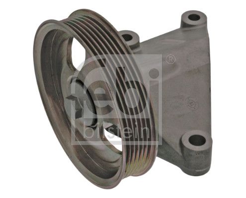 100173 FEBI BILSTEIN Galoppino/Guidacinghia, Cinghia Poly-V 