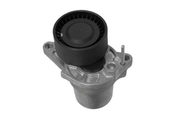 BT-0082 GOOM Tendicinghia, Cinghia Poly-V 