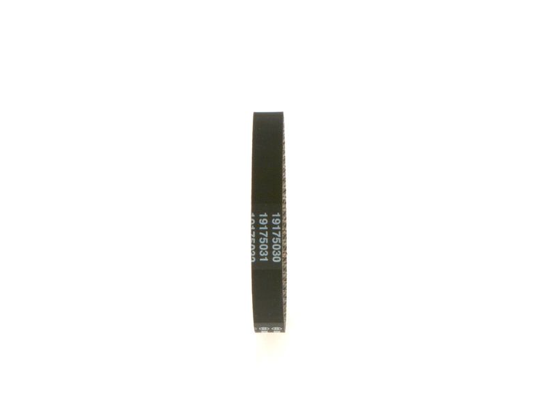 1987949661 BOSCH Cinghia dentata 