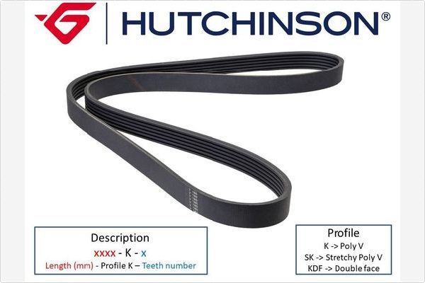 1546K5 HUTCHINSON Cinghia Poly-V 