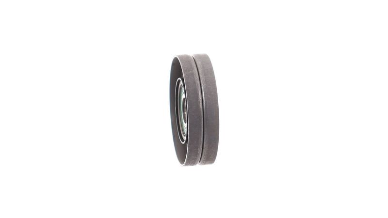 VKM 31017 SKF Galoppino/Guidacinghia, Cinghia Poly-V 