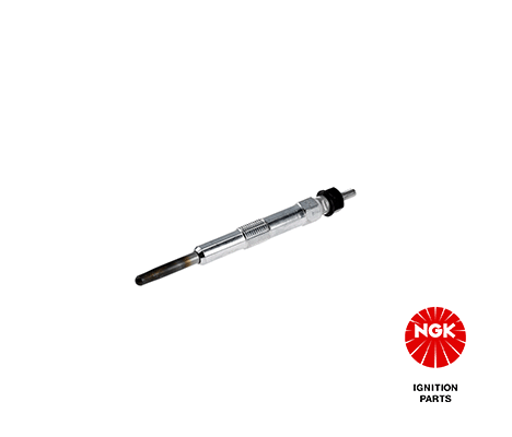 5013 NGK Candeletta 