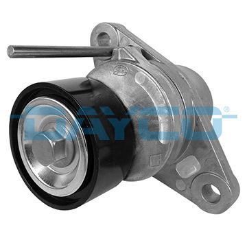 APV3097 DAYCO Tendicinghia, Cinghia Poly-V 