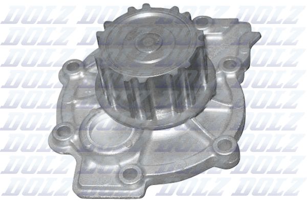 R302 DOLZ Pompa dell’acqua, raffreddamento motore 