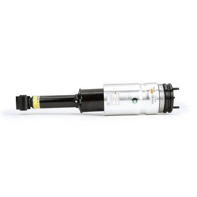 AS-2809 Arnott Gamba elastica con ammortiz. pneumatico 