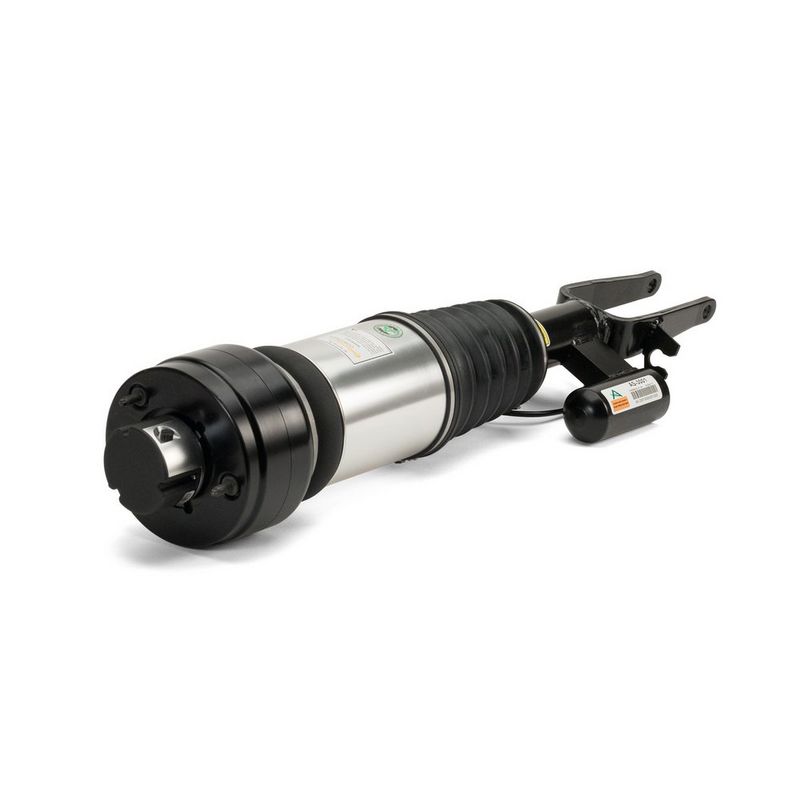 AS-3001 Arnott Gamba elastica con ammortiz. pneumatico 
