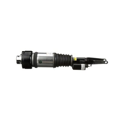 AS-3001 Arnott Gamba elastica con ammortiz. pneumatico 