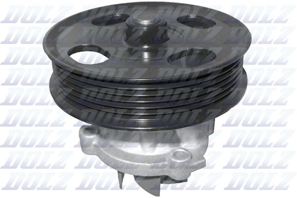 N208 DOLZ Pompa dell’acqua, raffreddamento motore 