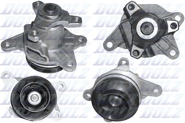 R239 DOLZ Pompa dell’acqua, raffreddamento motore 