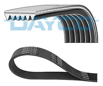 6PK2050 DAYCO Cinghia Poly-V 