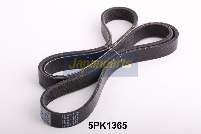 DV-5PK1365 JAPANPARTS Cinghia Poly-V 