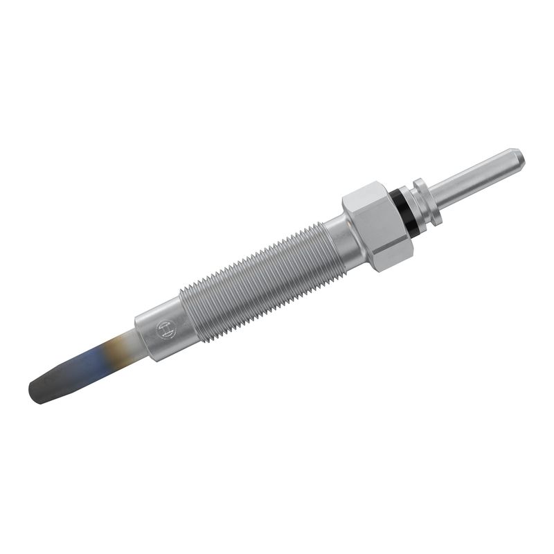 0250403055 BOSCH Candeletta 