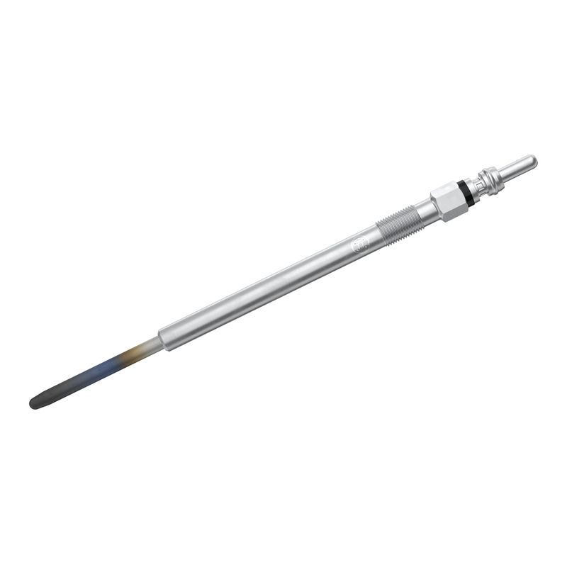 F002G50048 BOSCH Candeletta 