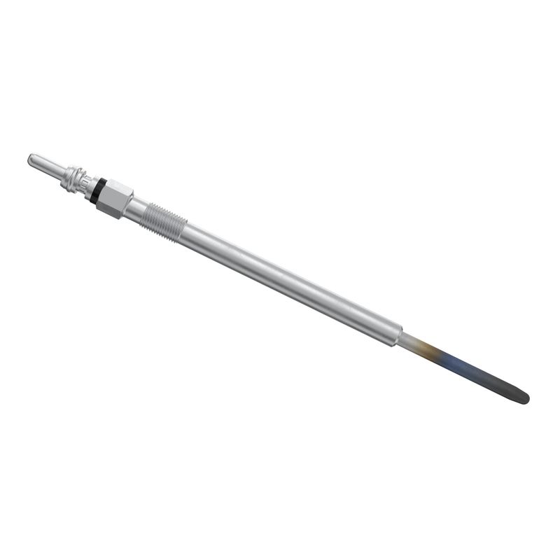F002G50048 BOSCH Candeletta 