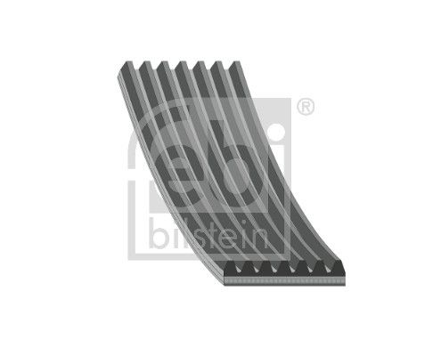 176707 FEBI BILSTEIN Cinghia Poly-V 