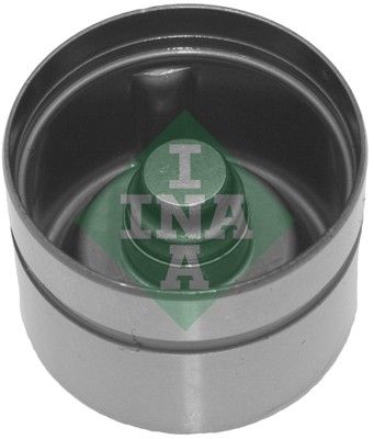 420017010 Schaeffler INA Punteria 