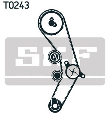 VKMA01170 SKF Kit cinghie dentate 