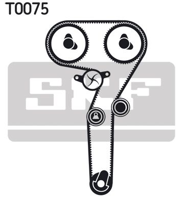 VKMA02172 SKF Kit cinghie dentate 