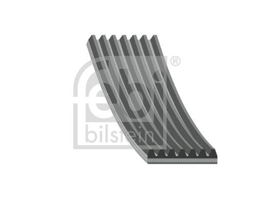 177985 FEBI BILSTEIN Cinghia Poly-V 