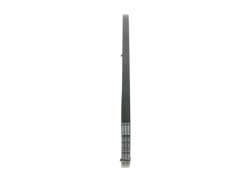 1987946079 BOSCH Cinghia Poly-V 