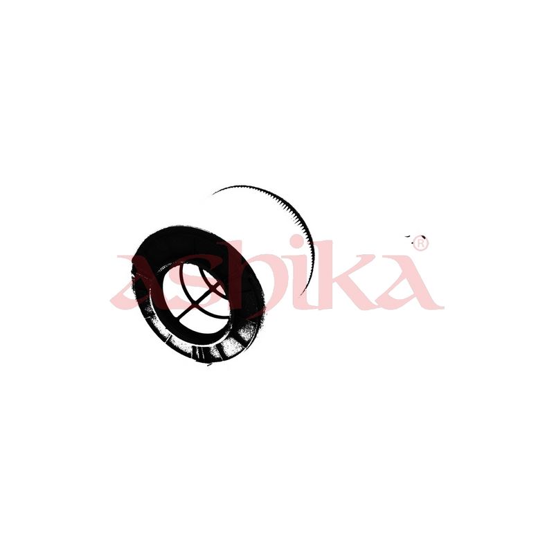 FA-0957JM ASHIKA Filtro aria 