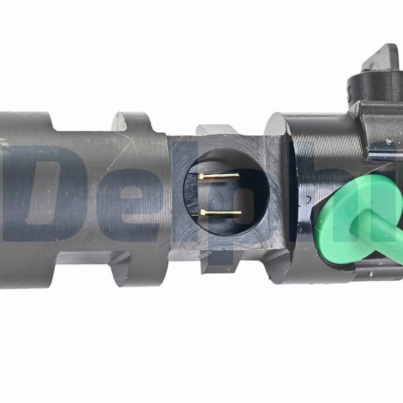 R00101DP-12B1 DELPHI Iniettore 