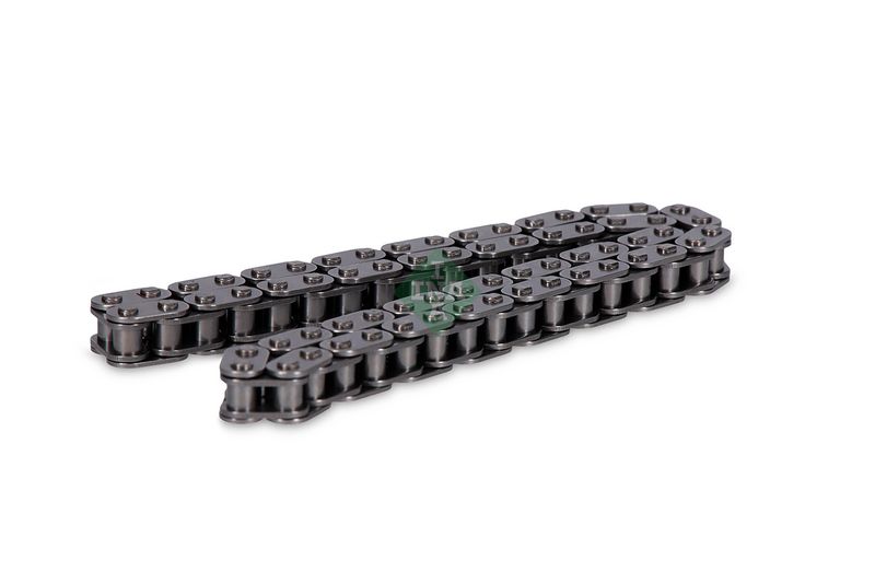553017310 Schaeffler INA Catena distribuzione 