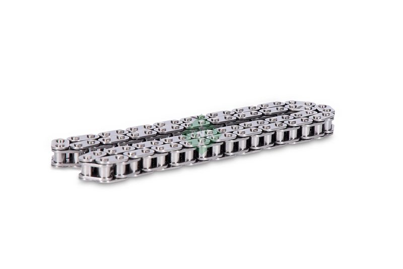 553023110 Schaeffler INA Catena distribuzione 