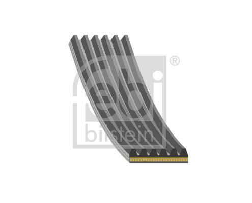 182869 FEBI BILSTEIN Cinghia Poly-V 