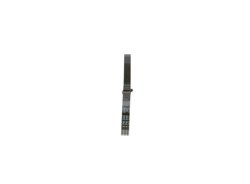1987946033 BOSCH Cinghia Poly-V 