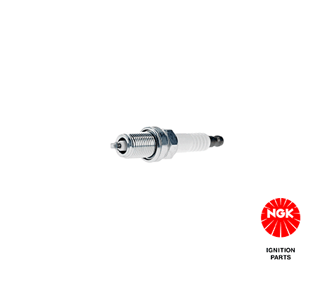 3696 NGK Candela accensione 