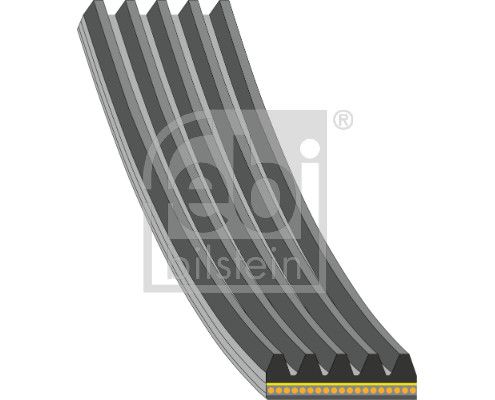 181286 FEBI BILSTEIN Cinghia Poly-V 
