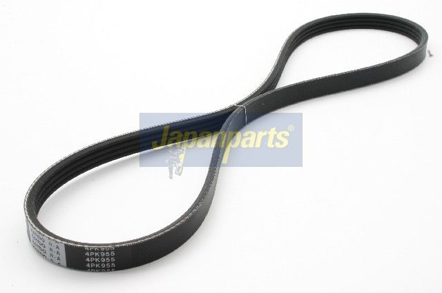 DV-4PK0955 JAPANPARTS Cinghia Poly-V 