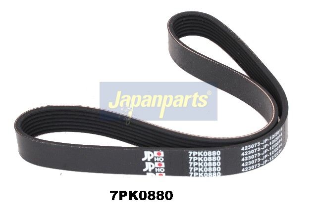 DV-7PK0880 JAPANPARTS Cinghia Poly-V 