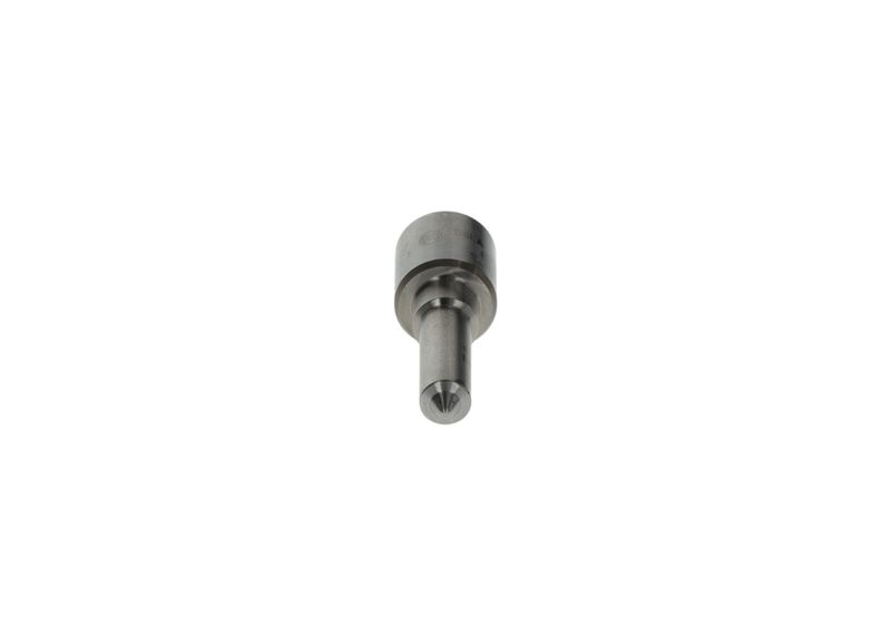 0433175230 BOSCH Ugello/Iniettore 