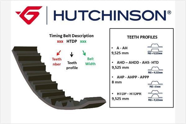 178HTDP30 HUTCHINSON Cinghia dentata 