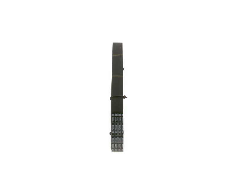 1987947573 BOSCH Cinghia Poly-V 