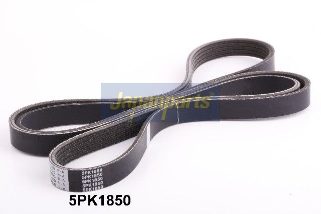 DV-5PK1850 JAPANPARTS Cinghia Poly-V 