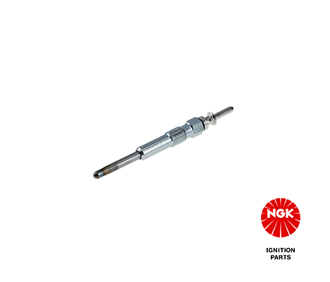 2691 NGK Candeletta 