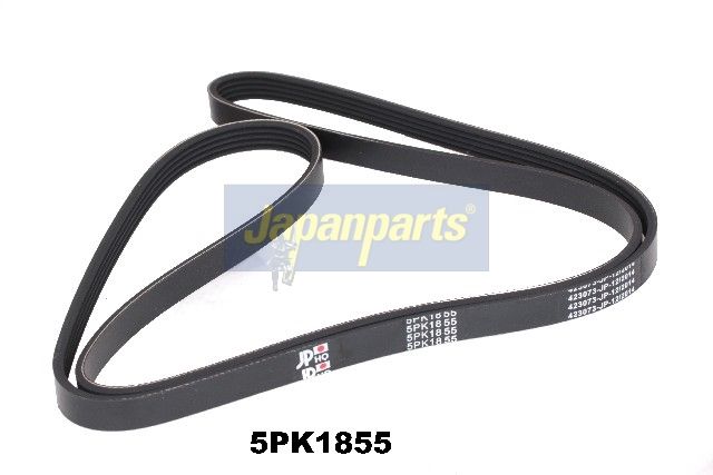 DV-5PK1855 JAPANPARTS Cinghia Poly-V 