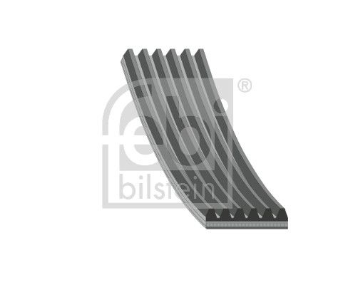 178155 FEBI BILSTEIN Cinghia Poly-V 