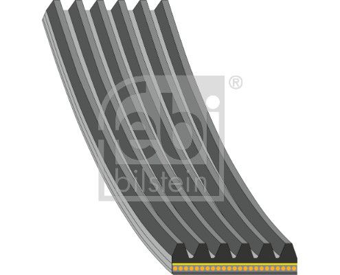 181284 FEBI BILSTEIN Cinghia Poly-V 