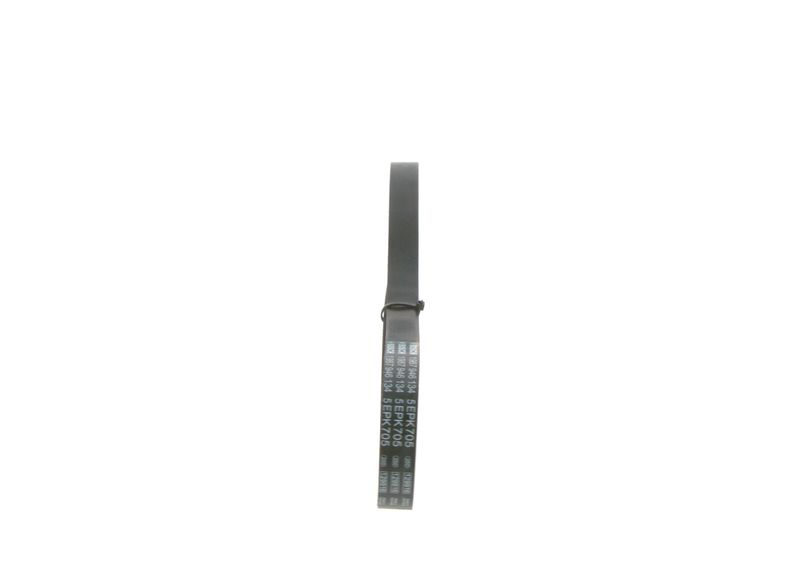 1987946134 BOSCH Cinghia Poly-V 