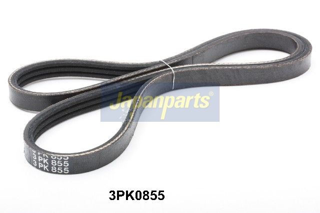 DV-3PK0855 JAPANPARTS Cinghia Poly-V 