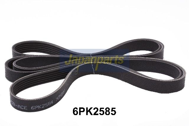DV-6PK2585 JAPANPARTS Cinghia Poly-V 