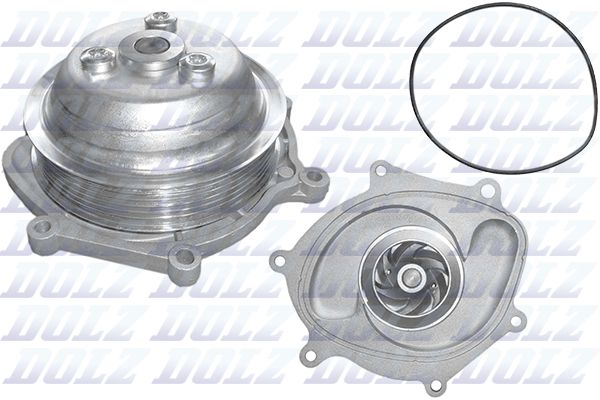P503 DOLZ Pompa dell’acqua, raffreddamento motore 