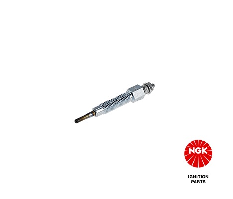 6586 NGK Candeletta 