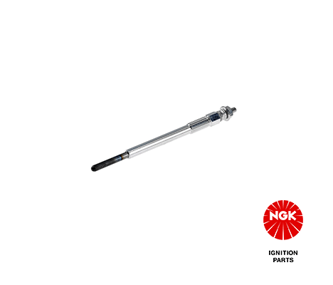 1684 NGK Candeletta 