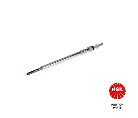 8643 NGK Candeletta 