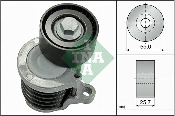 534059110 Schaeffler INA Tendicinghia, Cinghia Poly-V 